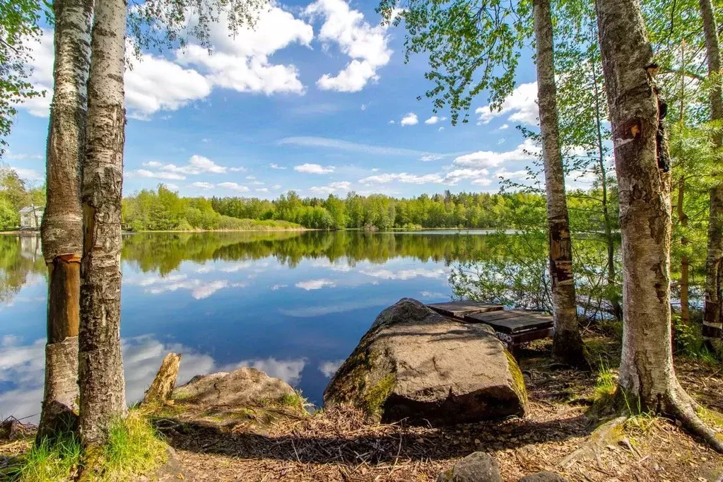 Коттедж в Ленинградская область, Выборг Заря-2 СНТ, ул. Нарциссовая, ... - Фото 2