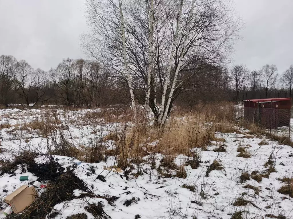 Участок в Московская область, Орехово-Зуевский городской округ, с. ... - Фото 0