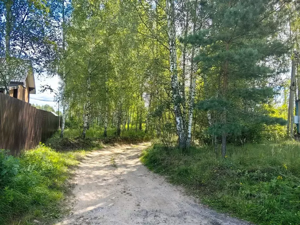 Участок в Тверская область, Кимрский муниципальный округ, Боринка СНТ  ... - Фото 0