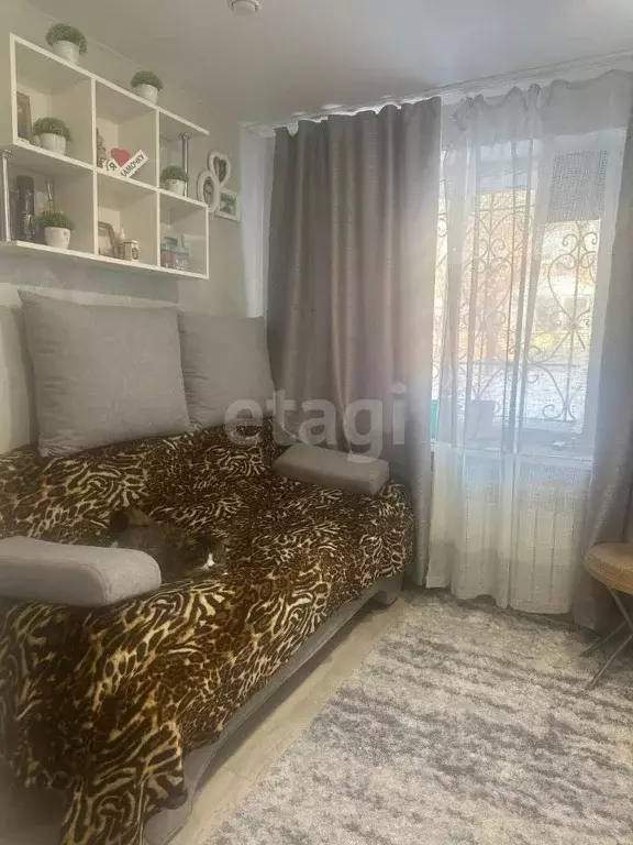 Студия Амурская область, Благовещенский район, с. Чигири Центральная ... - Фото 1