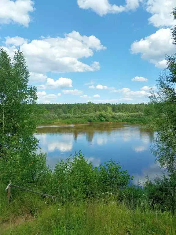 Участок в Нижегородская область, Нижний Новгород Мещерское Озеро ... - Фото 1