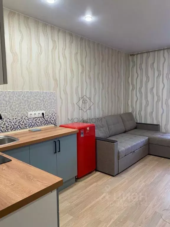 Студия Московская область, Балашиха ул. Яганова, 9 (24.0 м) - Фото 1
