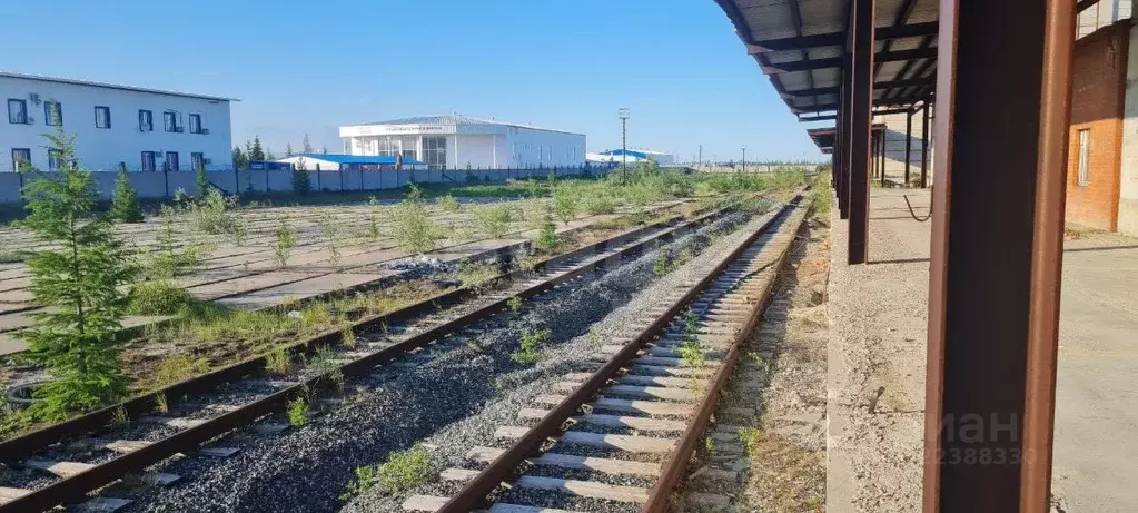 Склад в Ямало-Ненецкий АО, Новый Уренгой А панель,  (1287 м) - Фото 1