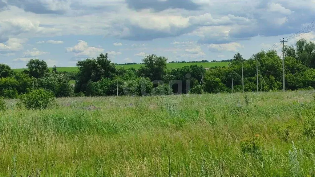 Участок в Белгородская область, Белгородский муниципальный округ, с. ... - Фото 1