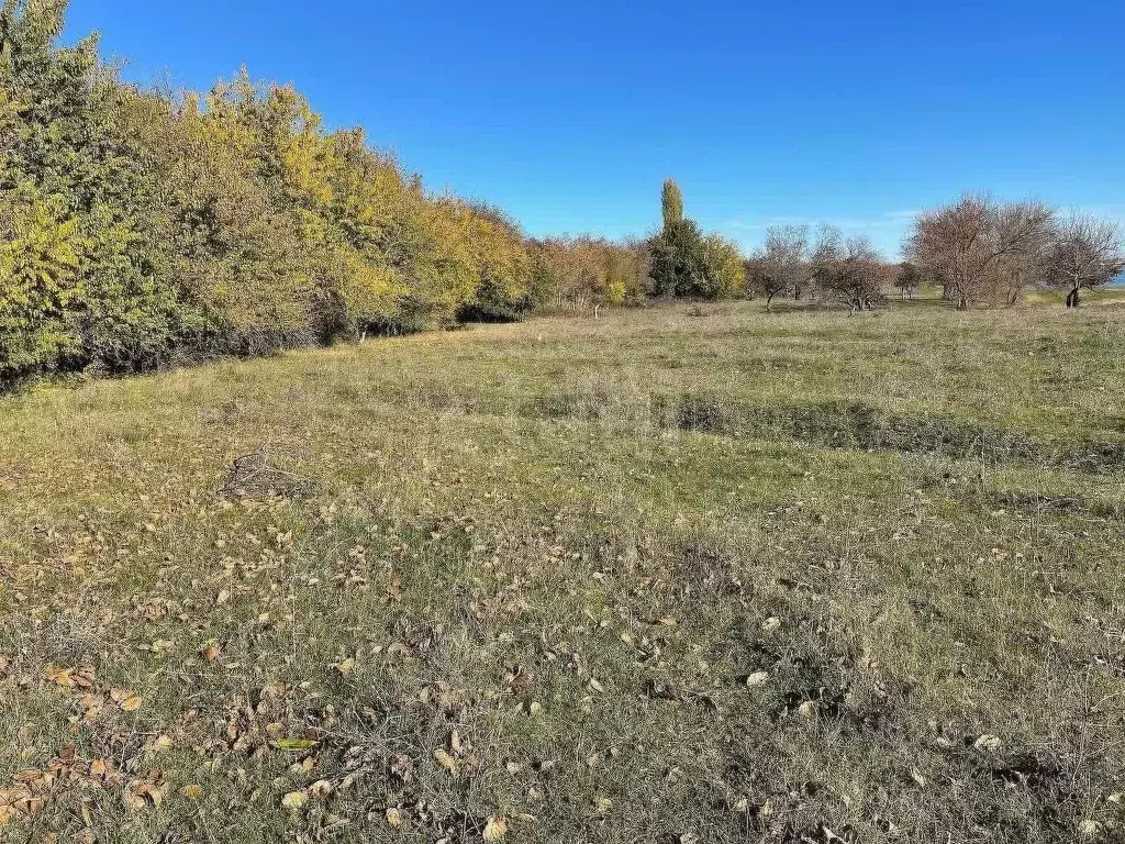 Участок в Крым, Кировский район, Старый Крым городское поселение ул. ... - Фото 0