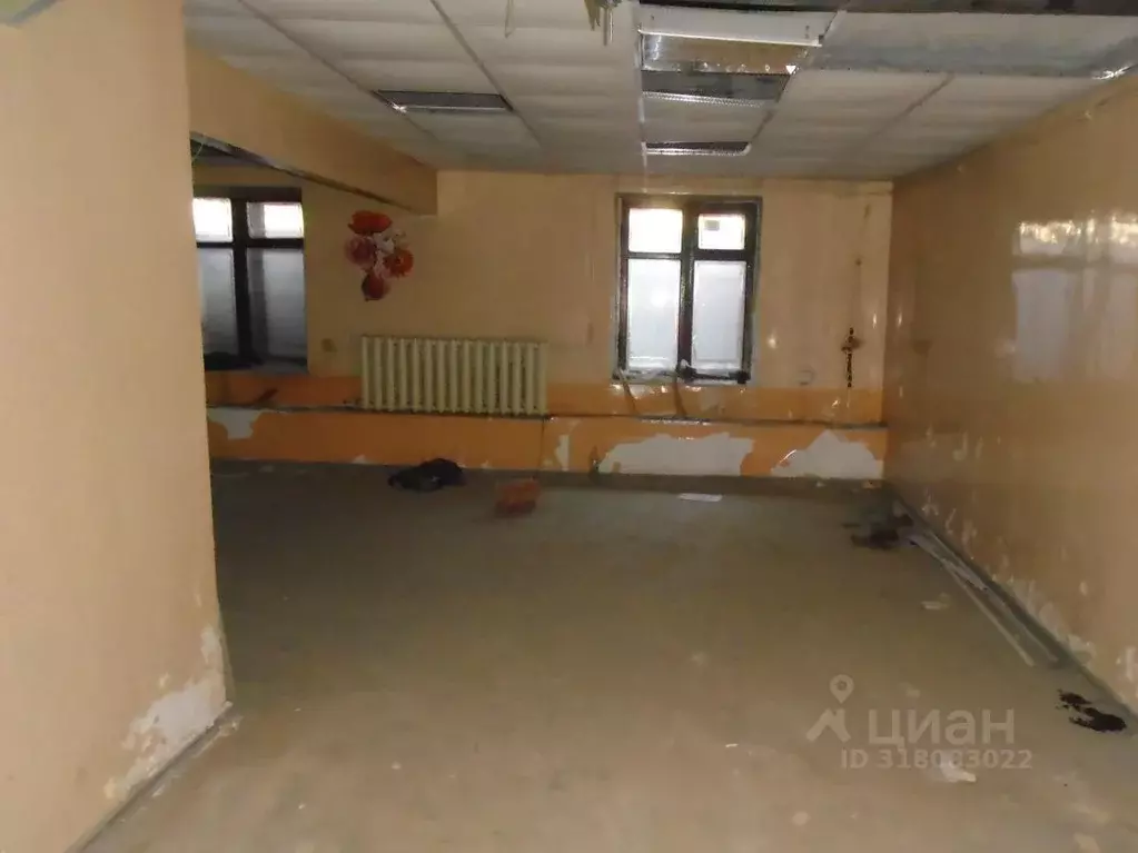 Помещение свободного назначения в Новосибирская область, Новосибирск ... - Фото 1