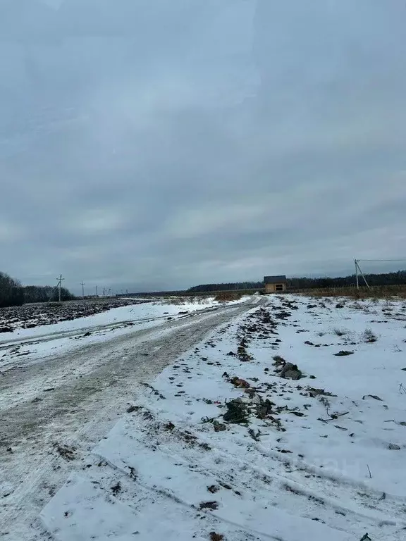 Участок в Тюменская область, Тюменский район, с. Горьковка Крылья ... - Фото 1