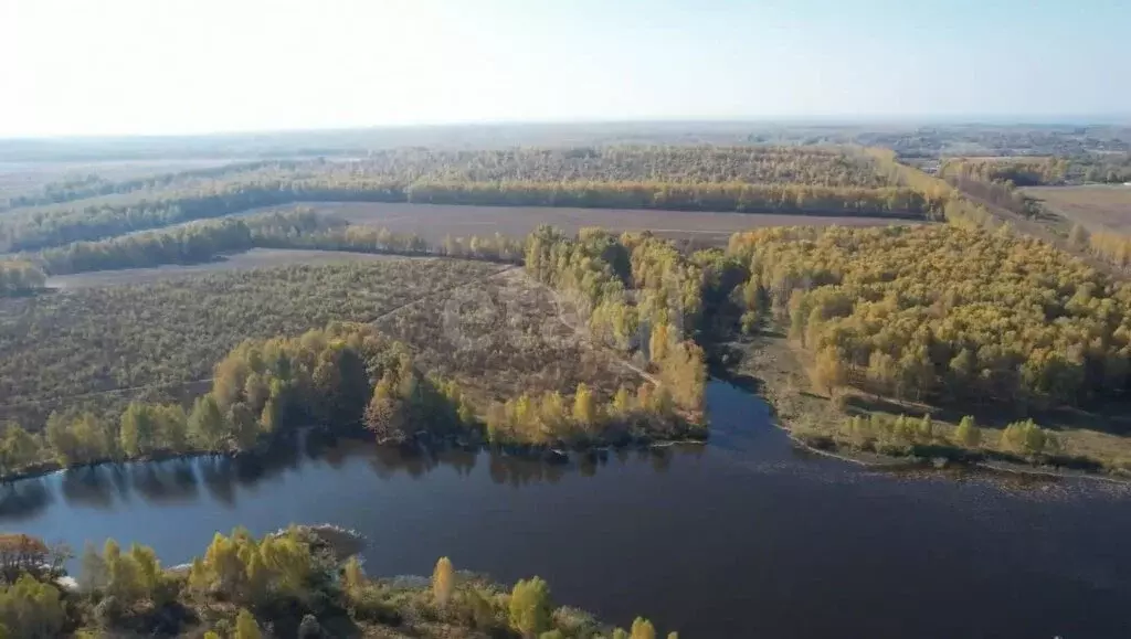 Участок в Тульская область, Белёвский район, сельское поселение ... - Фото 1