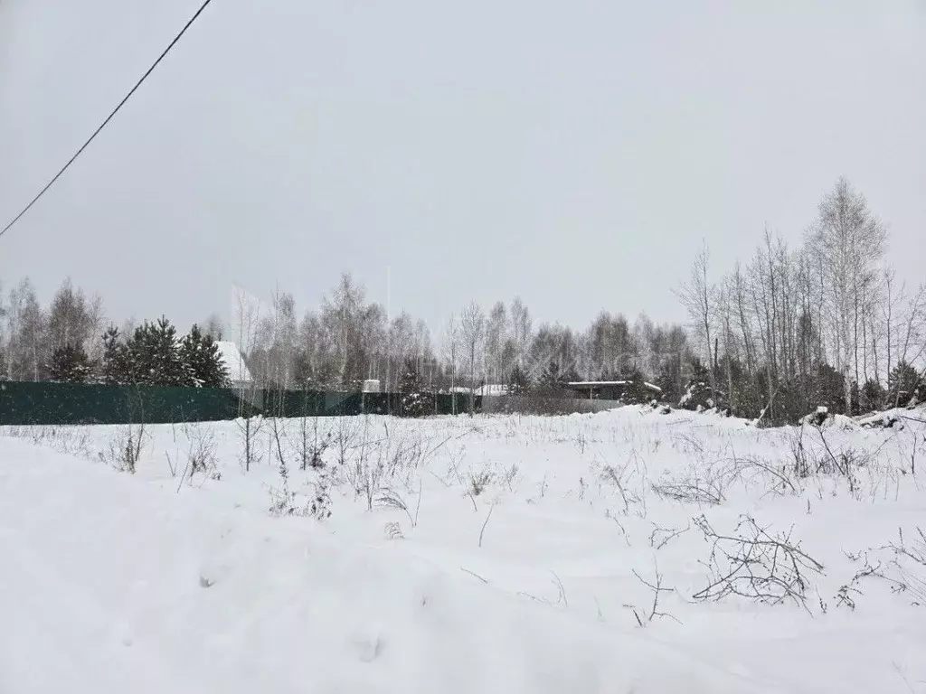 Участок в Тюменская область, Тюменский муниципальный округ, Архип ... - Фото 0