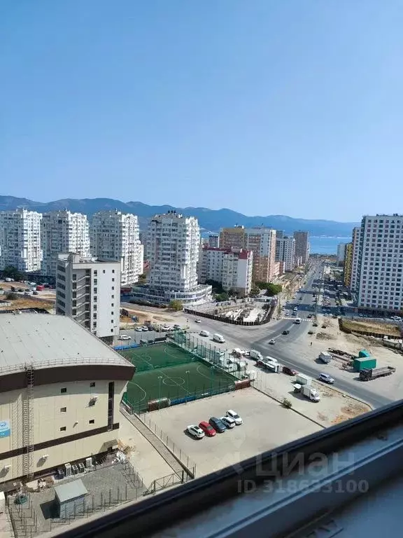 Студия Краснодарский край, Новороссийск ул. Котанова, 2 (25.0 м) - Фото 1
