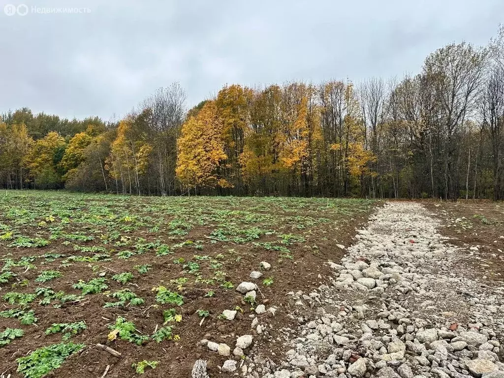 Участок в Московская область, городской округ Клин, деревня Калинино ... - Фото 1