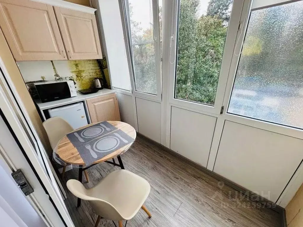 1-к кв. Краснодарский край, Сочи Курортный просп., 75к1 (25.0 м) - Фото 1