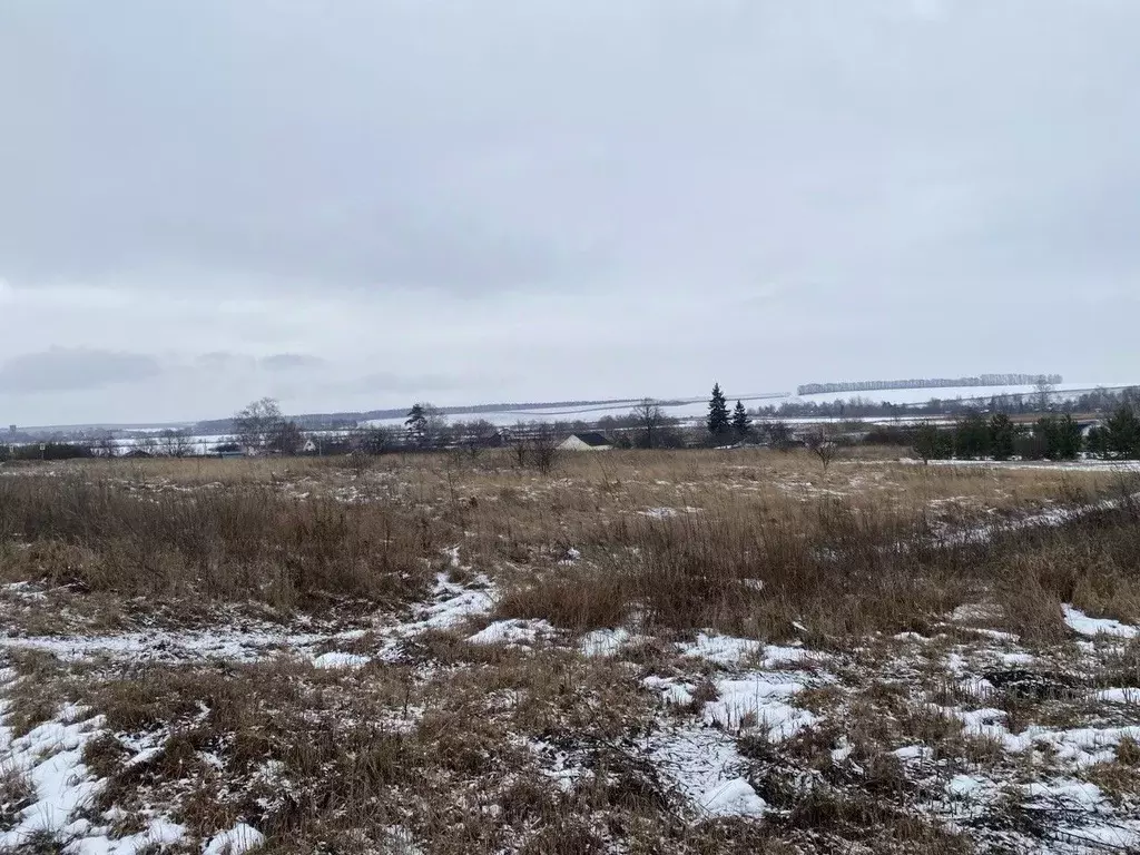 Участок в Московская область, Серебряные Пруды муниципальный округ, д. ... - Фото 0