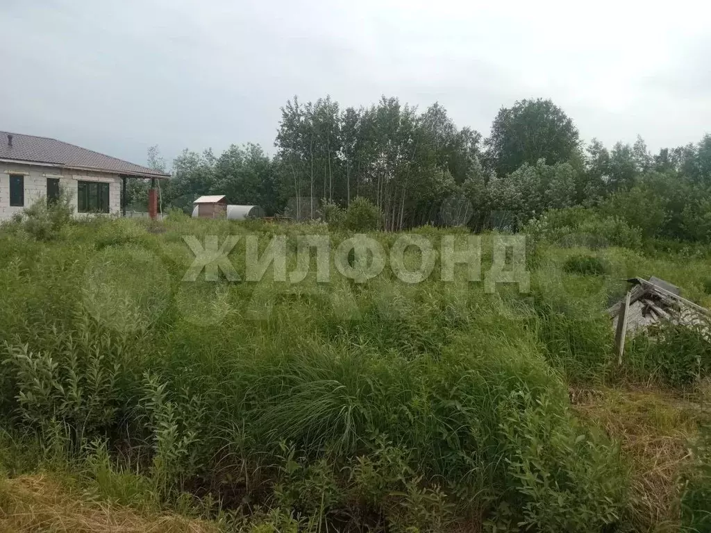 Участок 10,1 сот. (СНТ, ДНП) - Фото 1