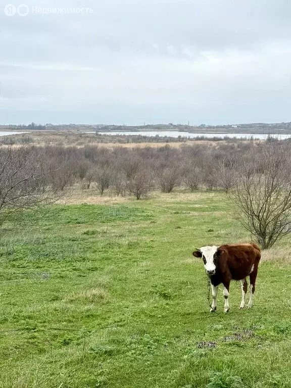 Участок в Ставрополь, Промышленный район (5 м) - Фото 1