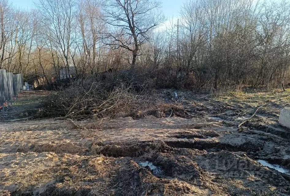 Участок в Московская область, Дмитровский муниципальный округ, пос. ... - Фото 1