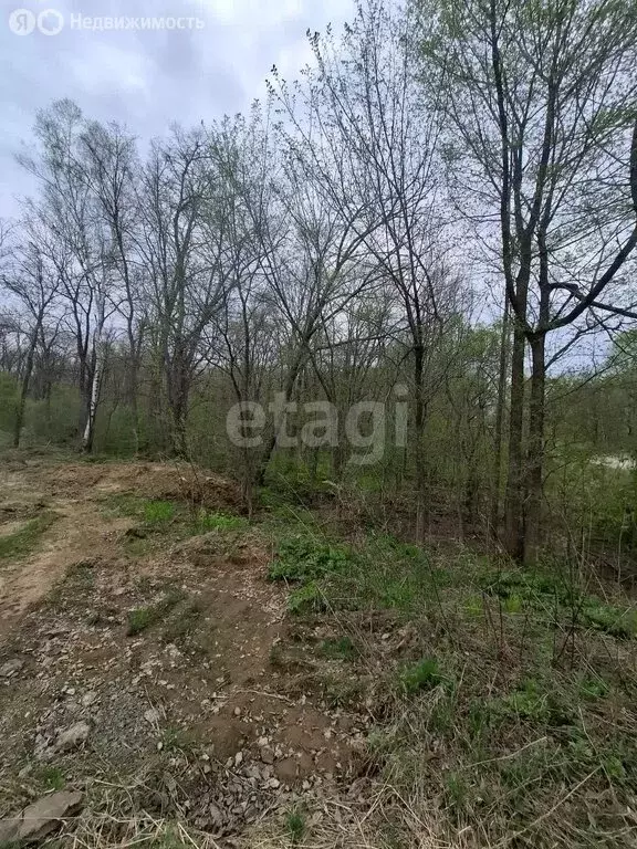 Участок в Хабаровский район, село Новотроицкое (14.5 м) - Фото 0