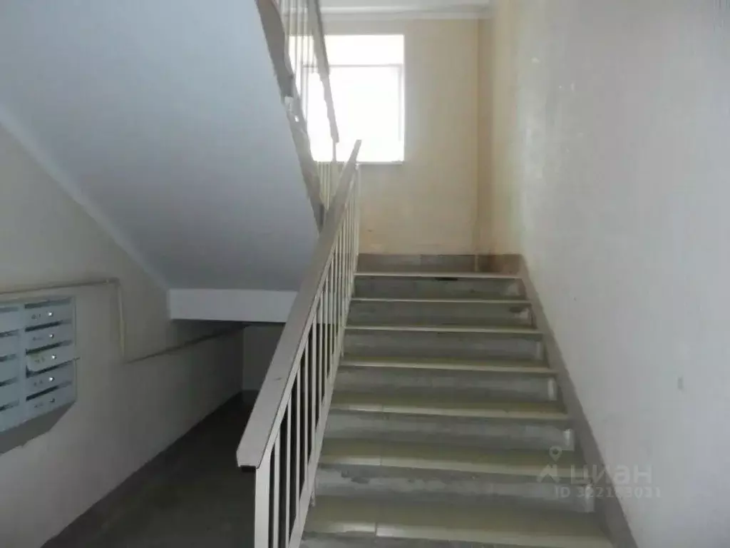 3-к кв. Пермский край, Пермь ул. Вильямса, 20/1 (77.9 м) - Фото 2