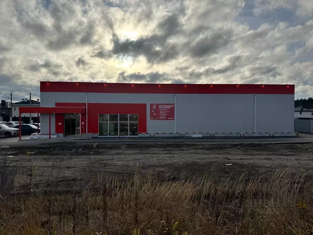 Помещение свободного назначения в Владимирская область, Владимир д. ... - Фото 1