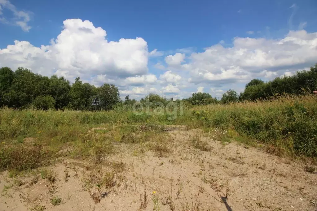 Участок в Вологодская область, Череповецкий район, д. Ирдоматка  ... - Фото 1