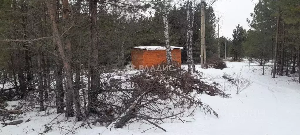 Участок в Владимирская область, Петушинское муниципальное образование, ... - Фото 1