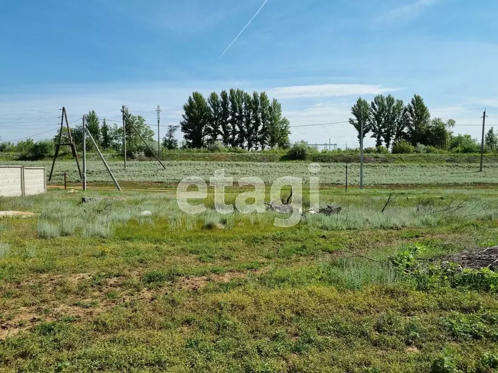 Участок в Волгоградская область, Городищенский район, Новонадеждинское ... - Фото 0