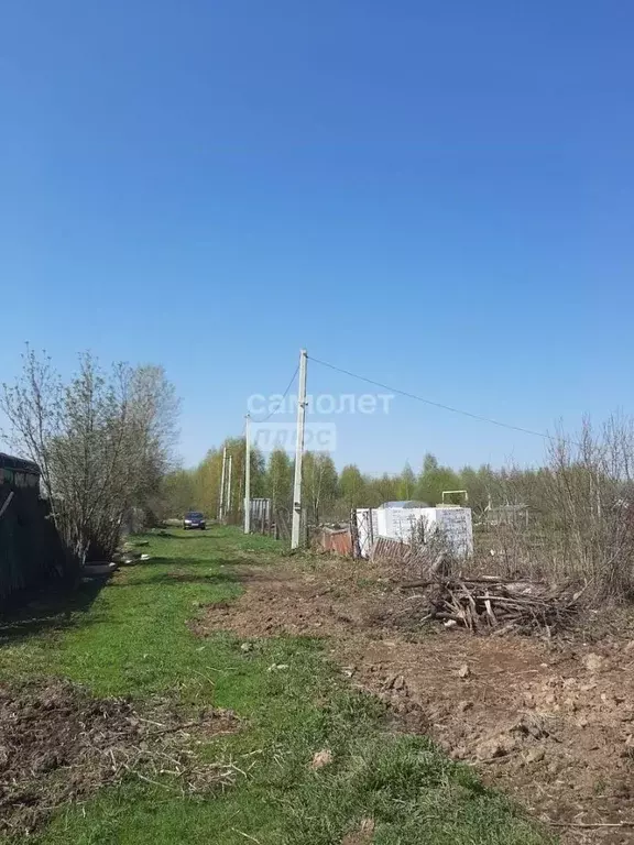 Участок в Владимирская область, Александровский район, Андреевское ... - Фото 1