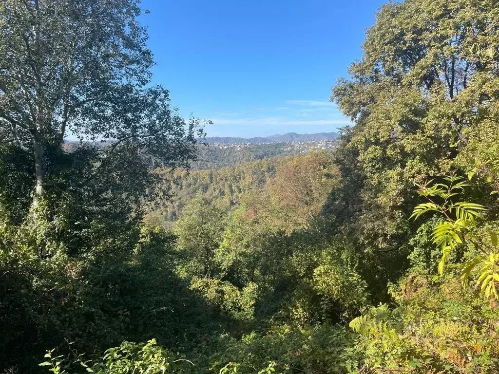Участок в Краснодарский край, Сочи городской округ, с. Русская Мамайка ... - Фото 2