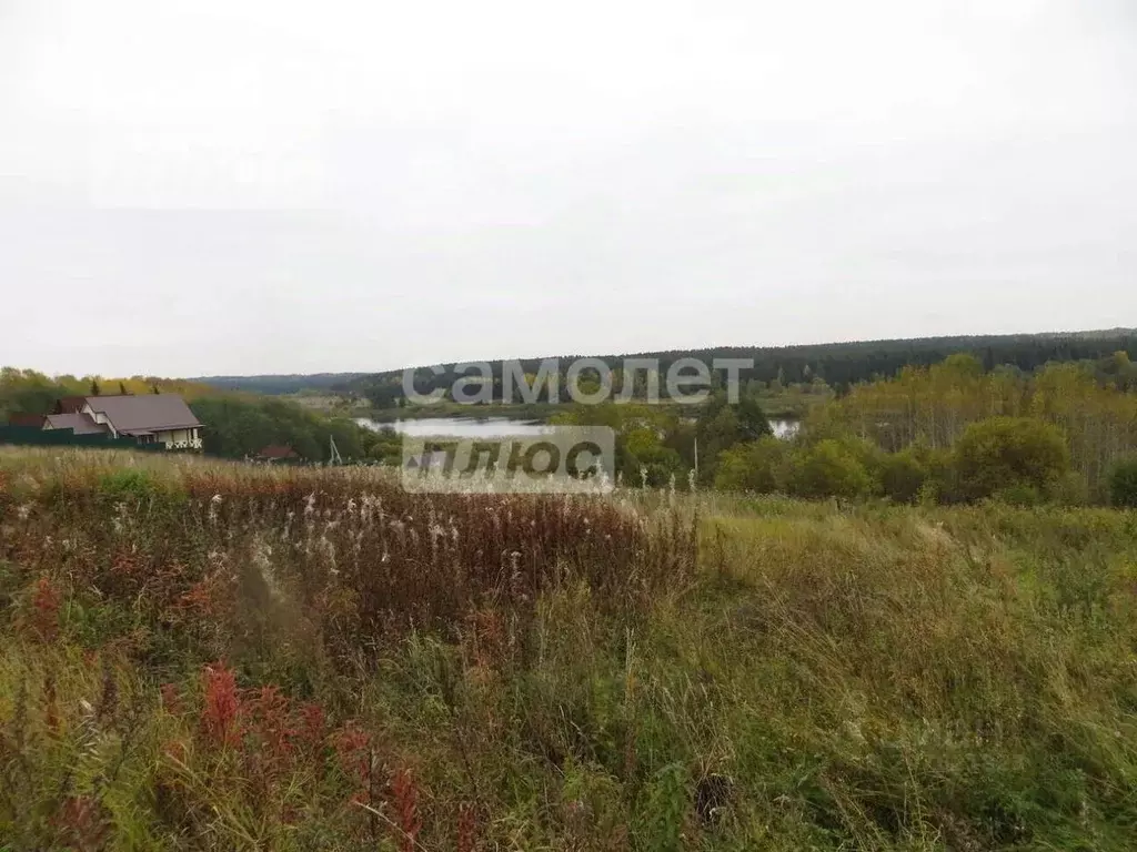 Участок в Вологодская область, Усть-Кубинский муниципальный округ, д. ... - Фото 1