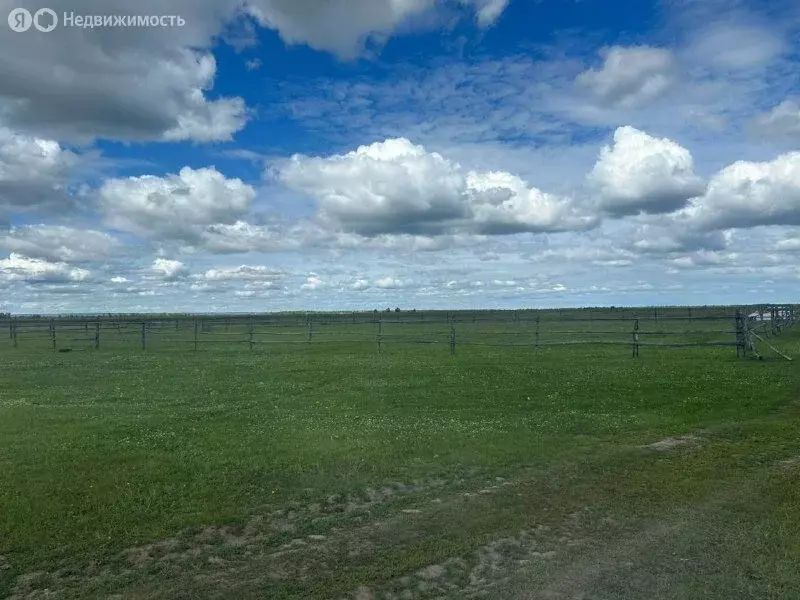 Участок в Республика Саха (Якутия), Мегино-Кангаласский улус, ... - Фото 0
