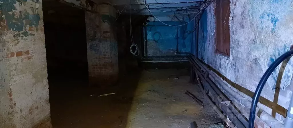 Помещение свободного назначения в Ярославская область, Ярославль ул. ... - Фото 1