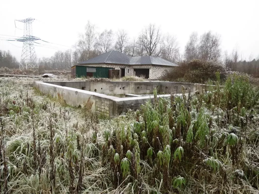 Участок в Калининградская область, Багратионовский муниципальный ... - Фото 1