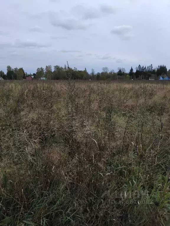 Участок в Ленинградская область, Гатчинский муниципальный округ, пос. ... - Фото 1