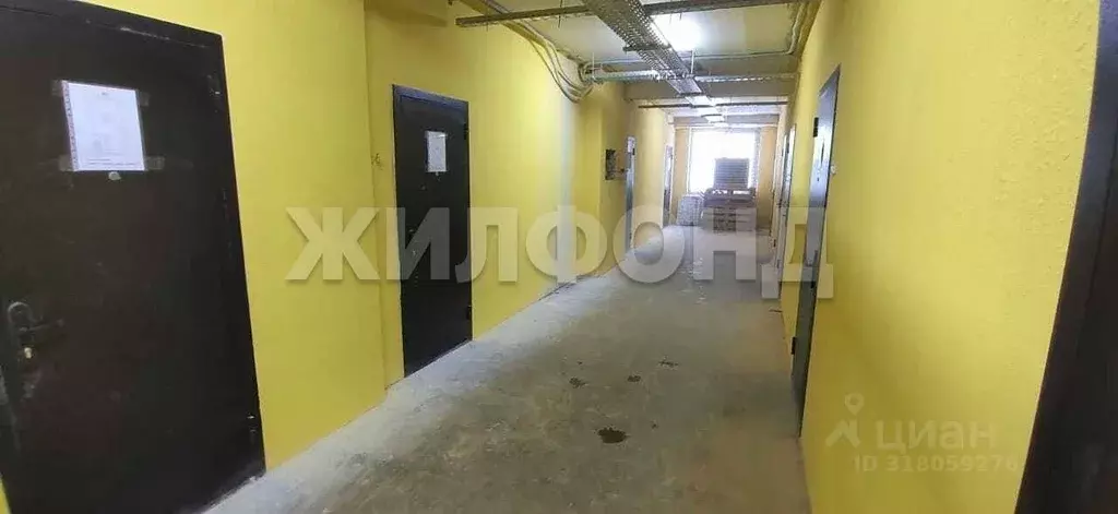 Студия Новосибирская область, Новосибирск Северный мкр, ул. ... - Фото 0