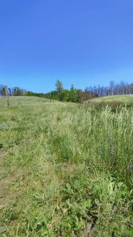 Участок в Белгородская область, Белгородский район, Тавровское с/пос, ... - Фото 0