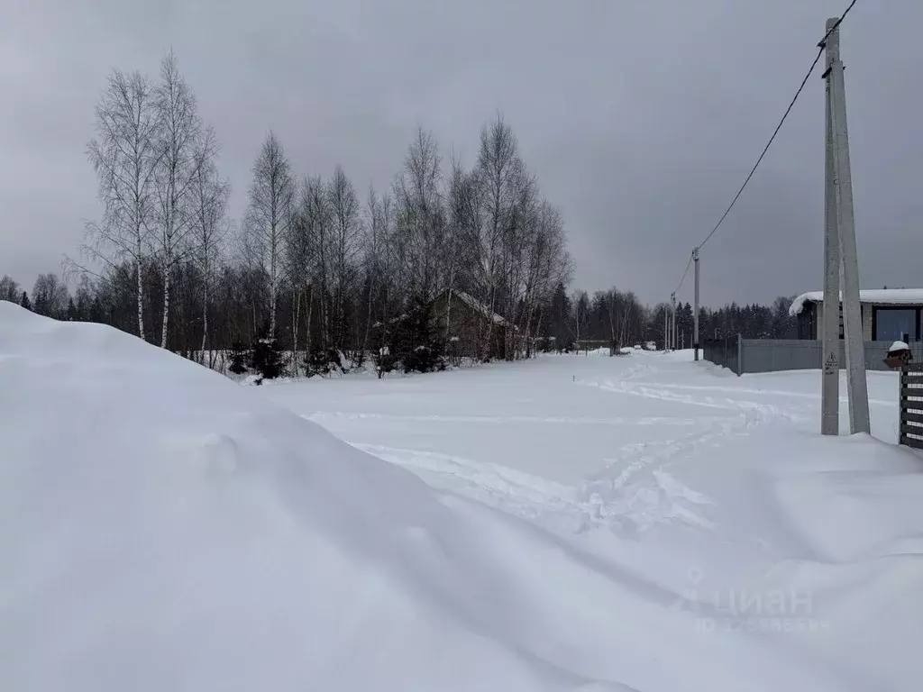 Участок в Владимирская область, Александровский муниципальный округ, ... - Фото 1