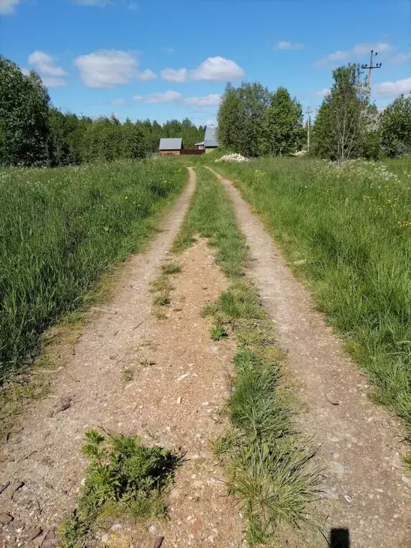 Участок в Вологодская область, Сокольский муниципальный округ, д. ... - Фото 2