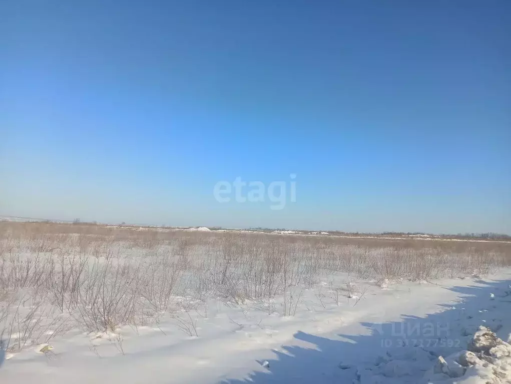 Участок в Амурская область, Благовещенский район, с. ... - Фото 0