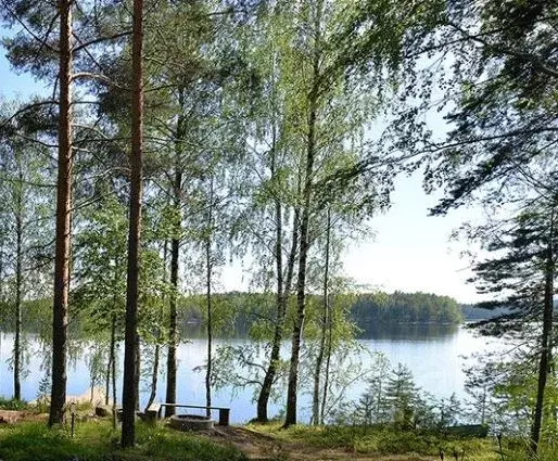 Участок в Тверская область, Осташковский муниципальный округ, д. Гуща  ... - Фото 1