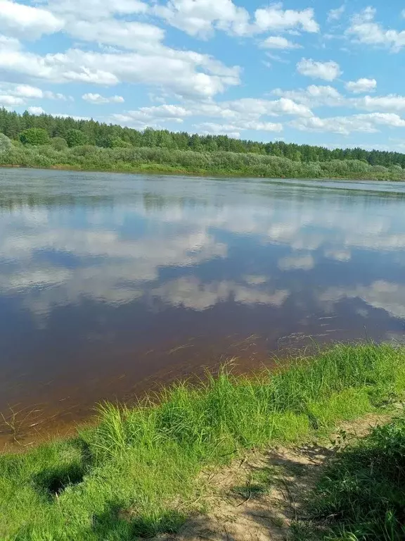 Участок в Нижегородская область, Бор  (19.0 сот.) - Фото 0