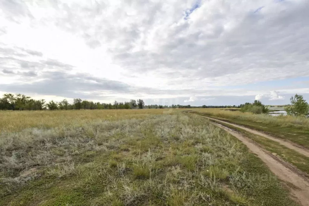 Участок в Оренбургская область, Илекский район, с. Кардаилово  (100.0 ... - Фото 1