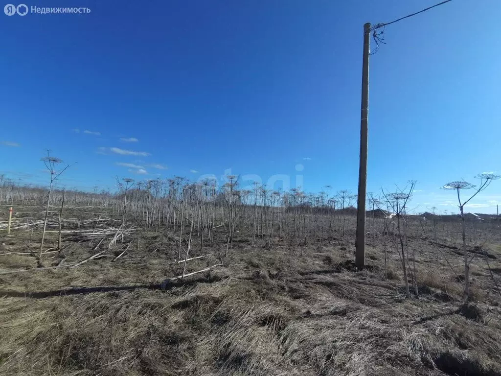 Участок в Республика Коми, муниципальный район Сыктывдинский, село ... - Фото 1