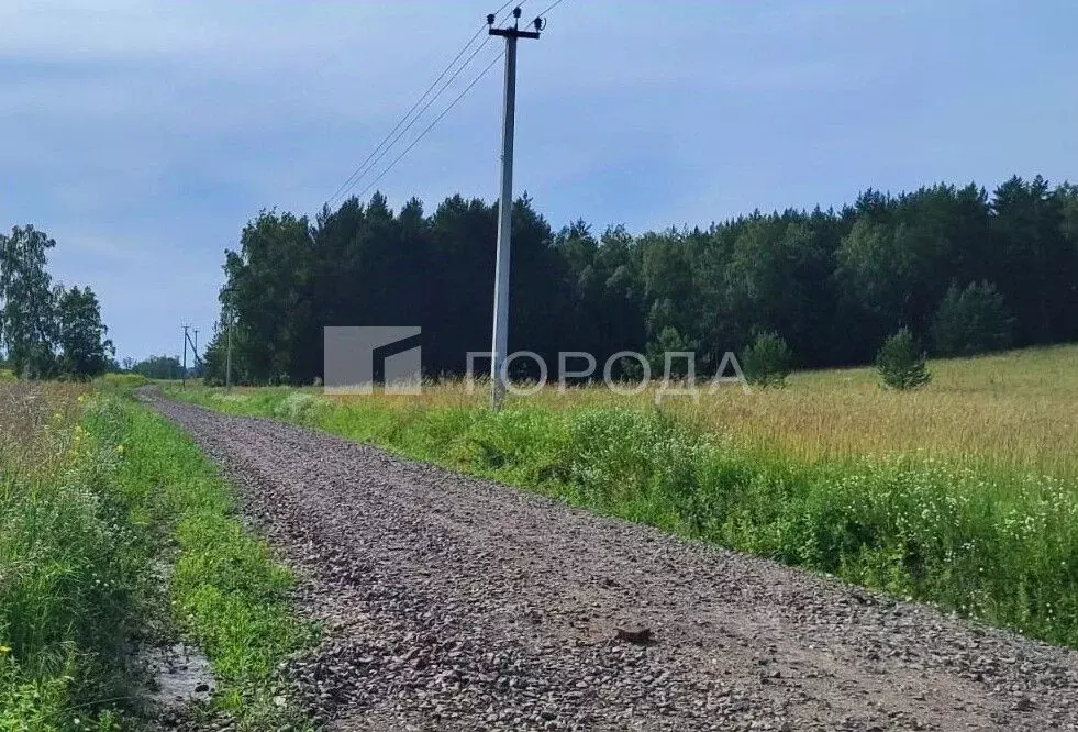 Участок в Алтайский край, Первомайский район, с. Санниково ул. ... - Фото 2