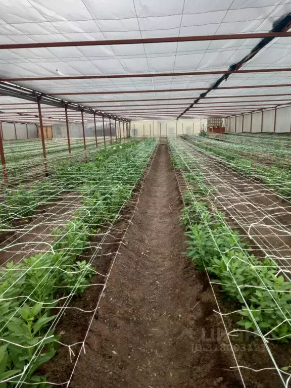 Дом в Саратовская область, Энгельс Партизанская ул. (64 м) - Фото 1