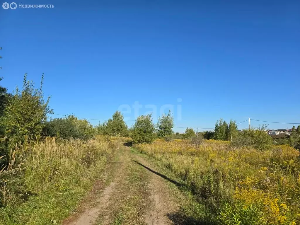 Участок в Добрунь, садоводческое некоммерческое товарищество Пищевик ... - Фото 2