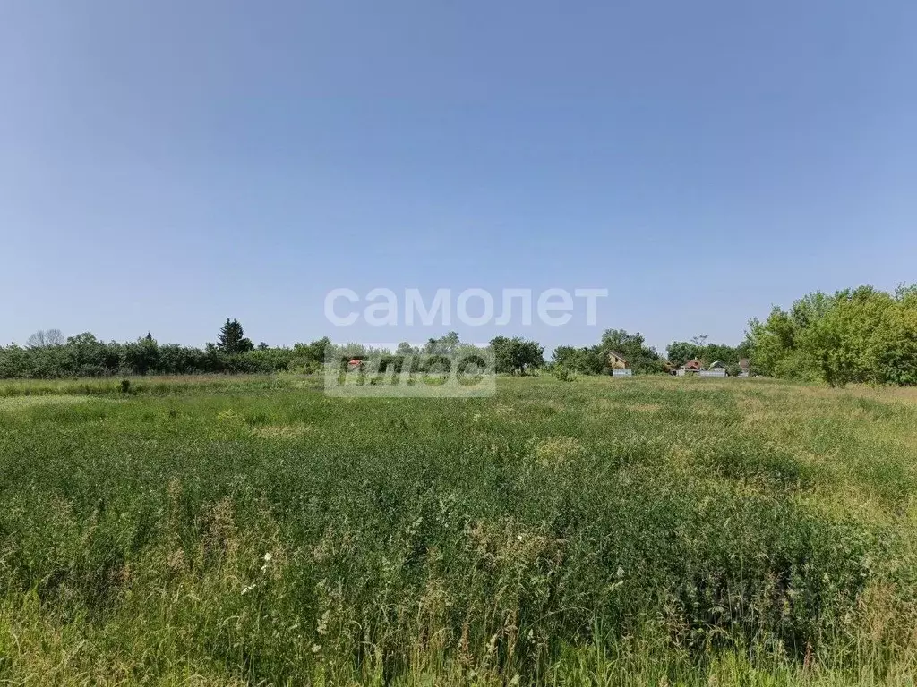 Участок в Курская область, Курский район, Камышинский сельсовет, д. ... - Фото 1