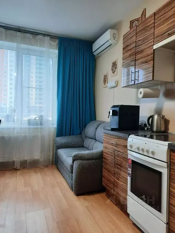 1-к кв. Нижегородская область, Нижний Новгород д. Анкудиновка, ул. ... - Фото 1