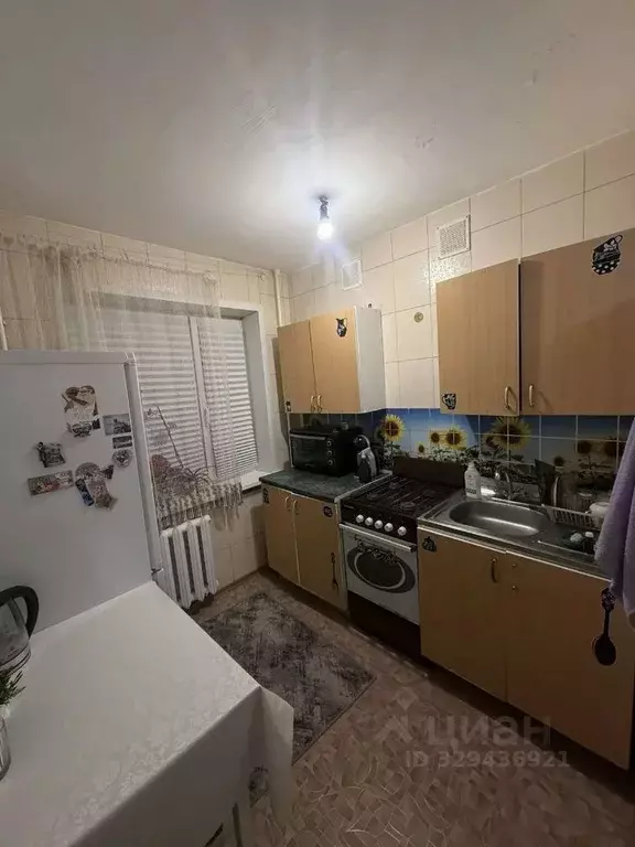 1-к кв. Воронежская область, Павловск Гранитный мкр, 11 (30.2 м) - Фото 1