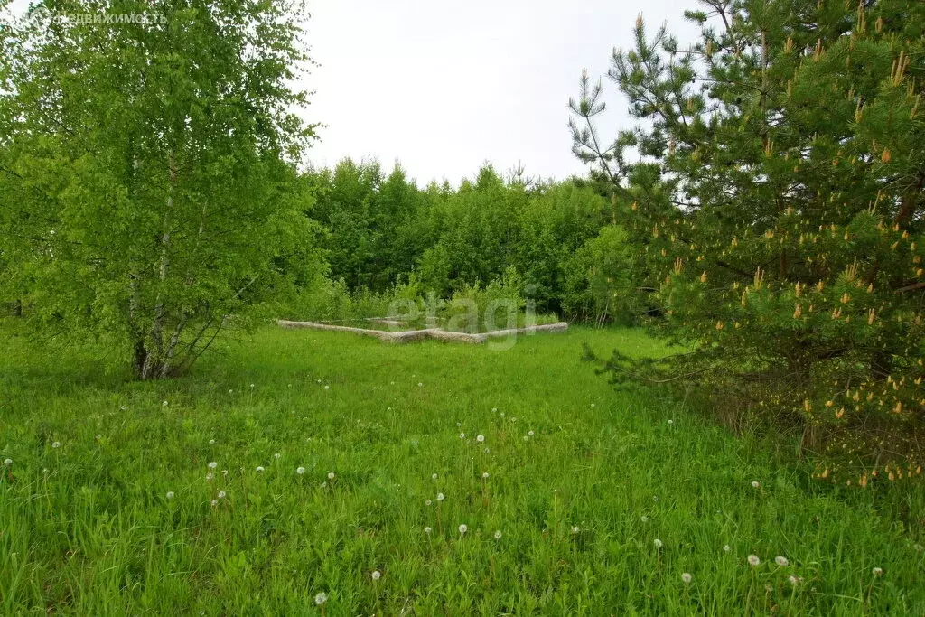 Участок в Калужская область, Малоярославецкий муниципальный округ, ... - Фото 1