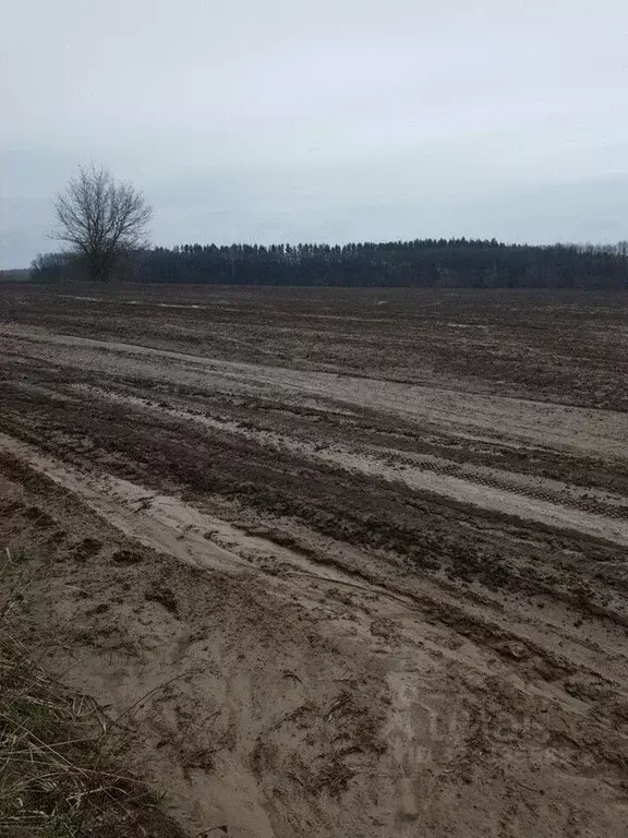 Участок в Орловская область, Орловский муниципальный округ, д. ... - Фото 1